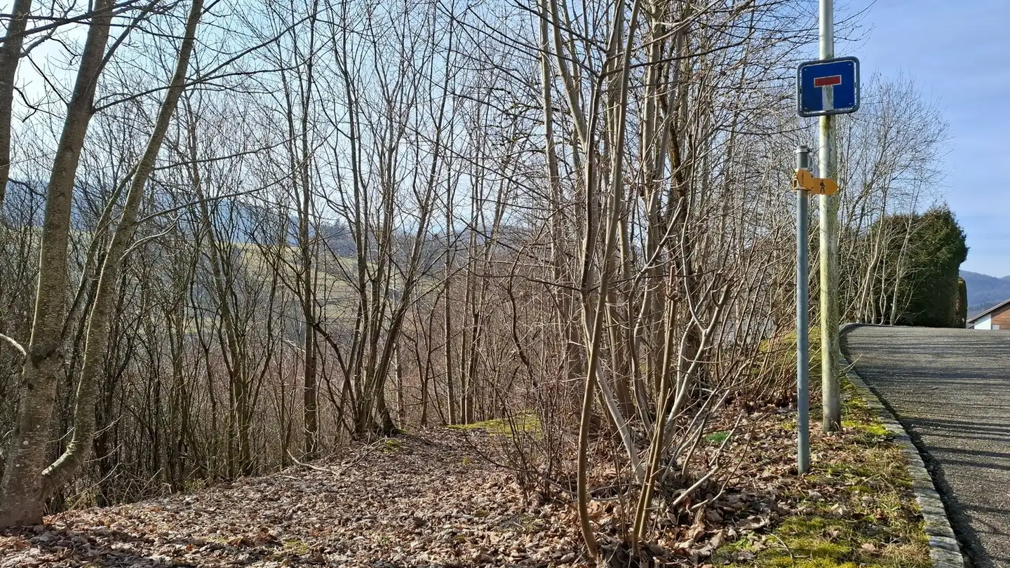 Terrain constructible à vendre - Im Wolfbiel, 4206 Seewen SO - Photo 3