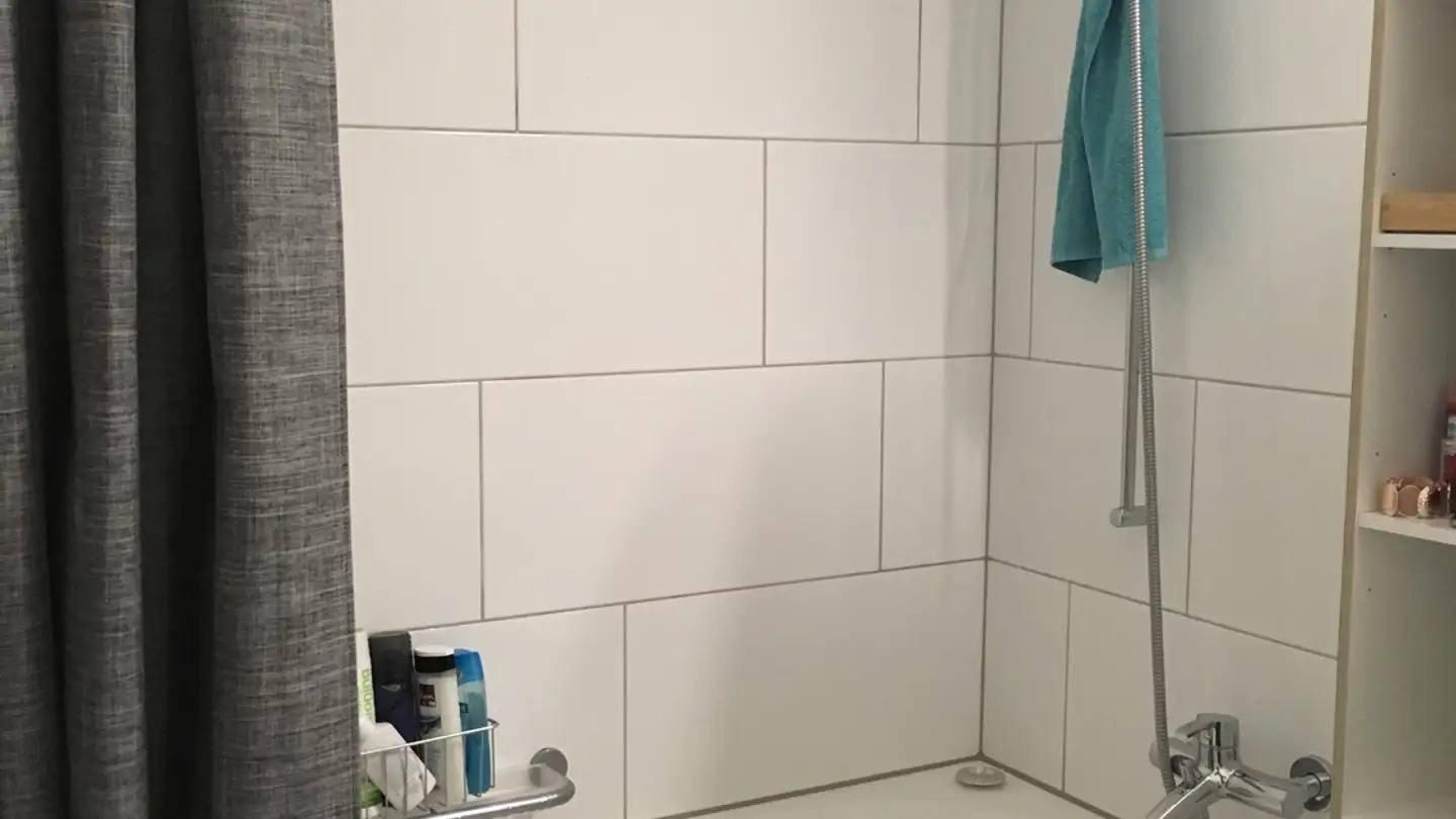 Chambre à louer - Bachmannweg, 8046 Zürich - Photo 3