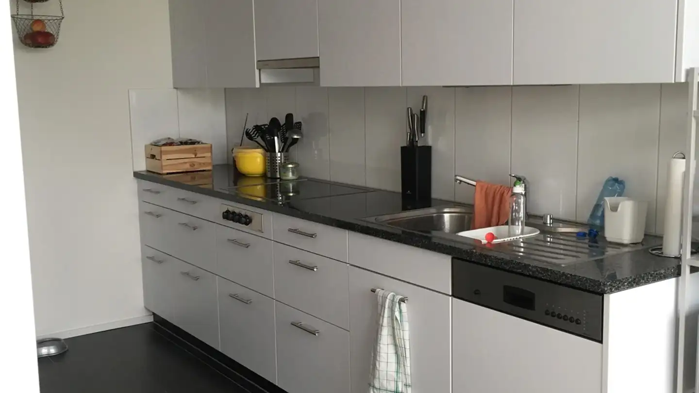 Chambre à louer - Bachmannweg, 8046 Zürich - Photo 4
