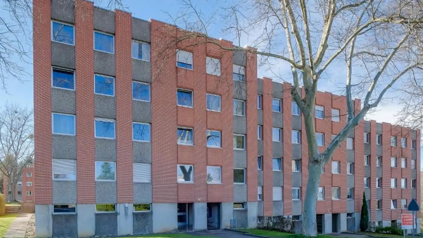 Underground parking space for rent - Holeeholzweg 71, 4102 Binningen