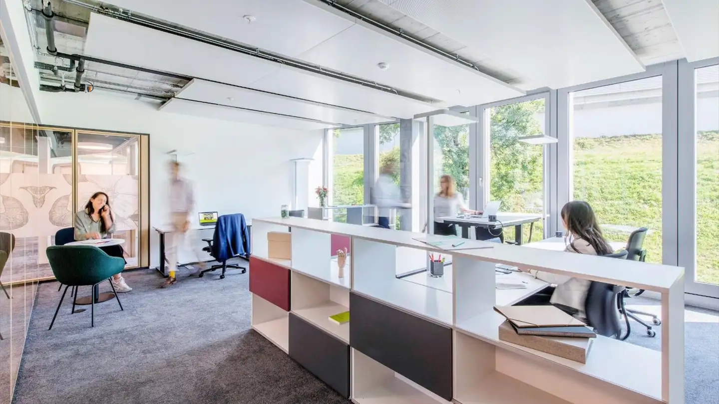 Bürofläche mieten - Maneggstrasse 33, 8041 Zürich - Foto 3