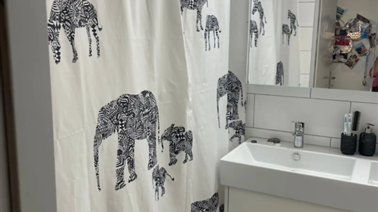 Appartamento in affitto - 4402 Frenkendorf - Foto 4