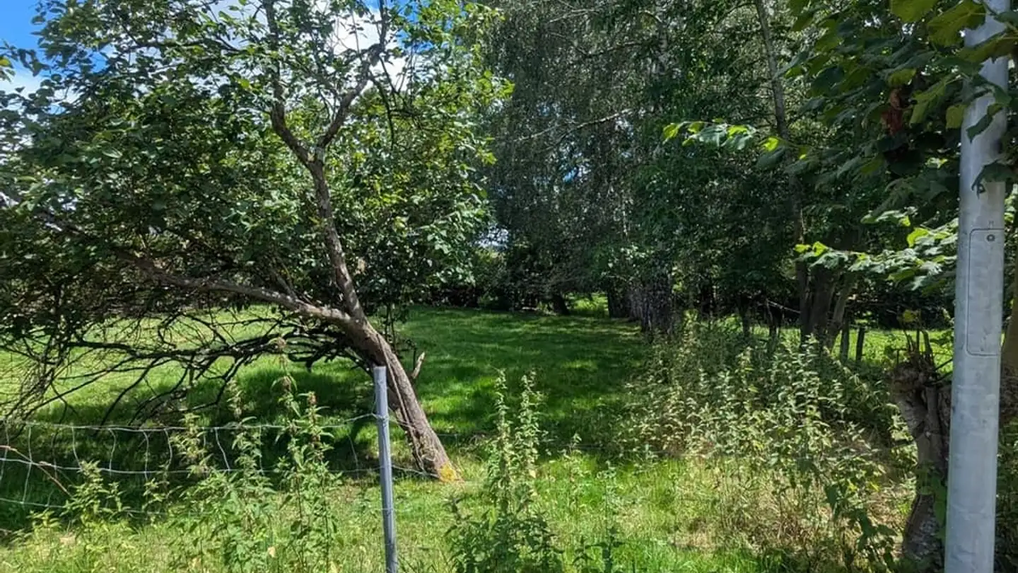 Constructible plot for sale - 2908 Grandfontaine - Photo 3