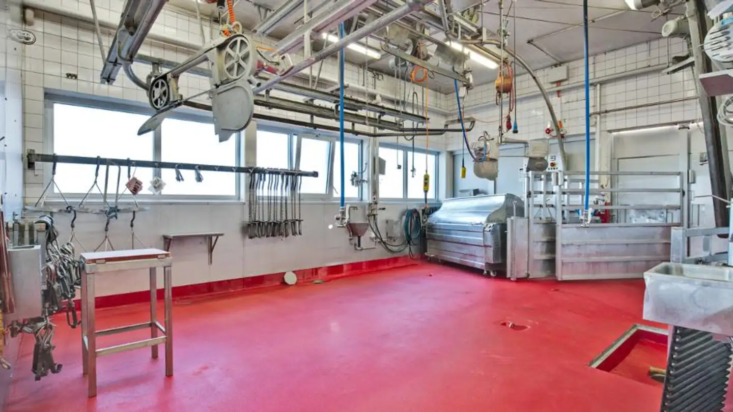 Mixed-use building for sale - Chemin des Marais 2, 1470 Estavayer-le-Lac - Photo 4