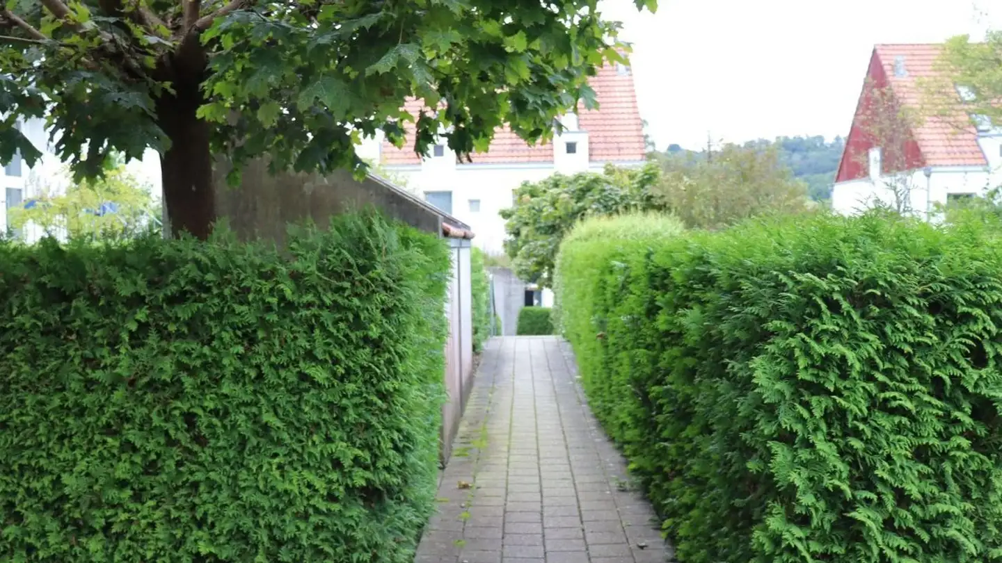 Appartement en terrasse à louer - Im Schachenhof 31a, 8906 Bonstetten