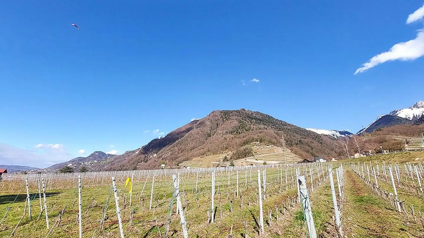 Appartamento in vendita - 1844 Villeneuve VD