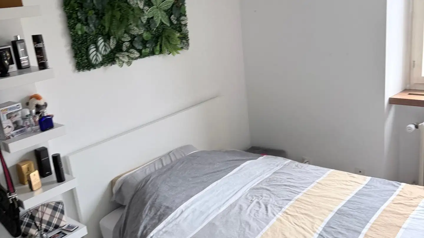 Single room for rent - Place De L'hôtel-De-Ville / Rathausplatz 1, 1700 Fribourg - Photo 2