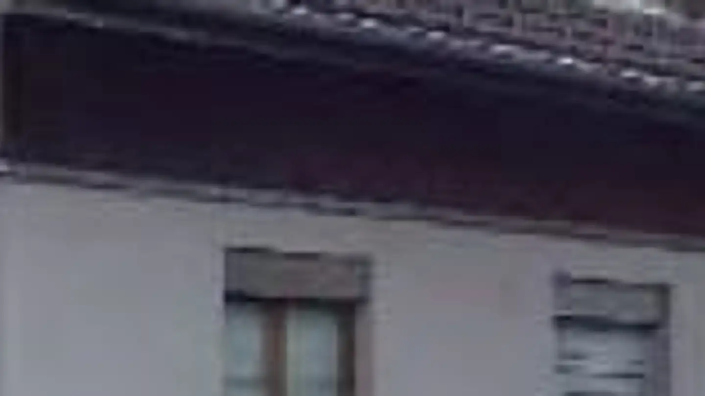 Edificio ad uso misto in vendita - Romanshornerstrasse 91, 9300 Wittenbach