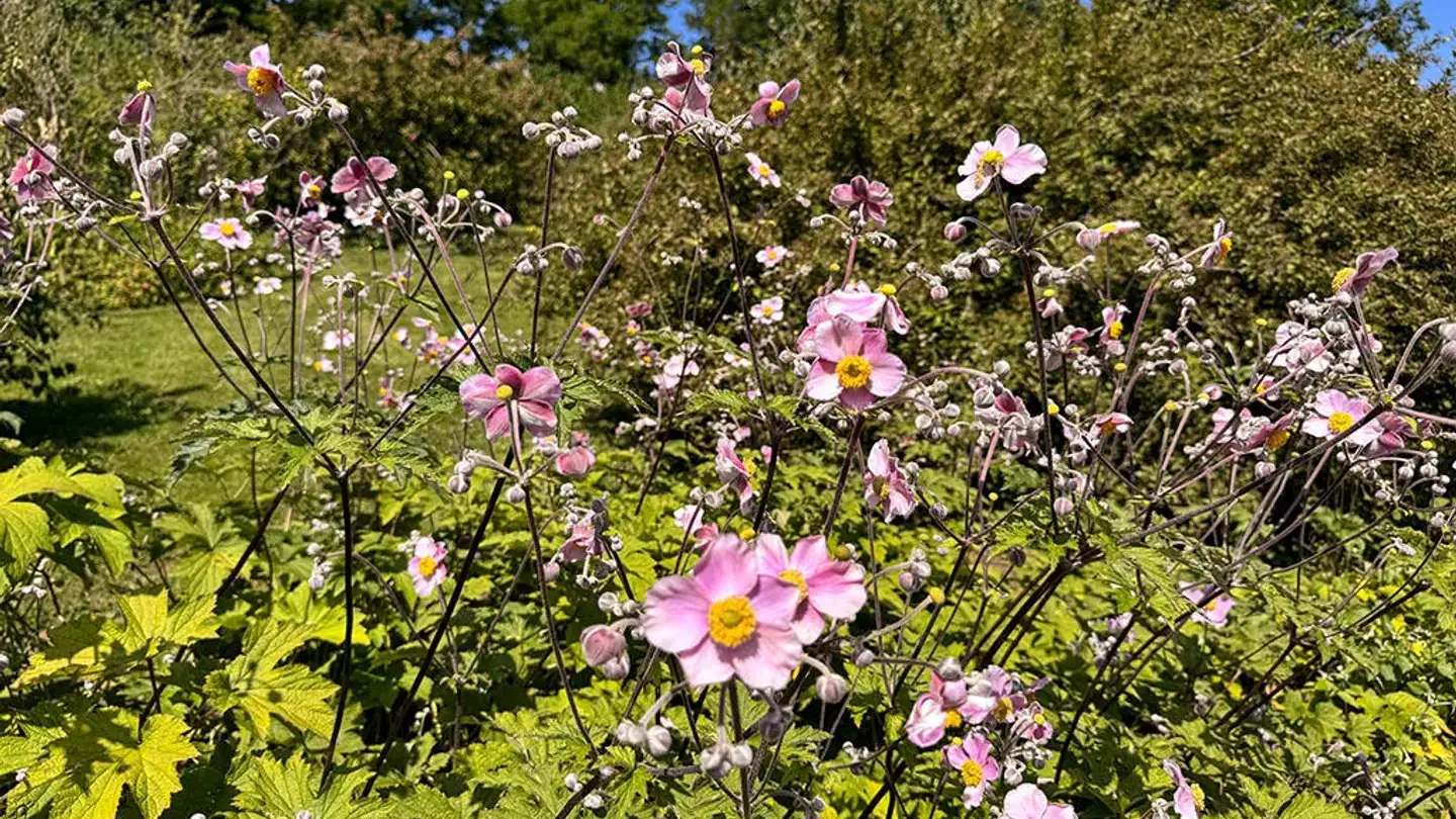 Villa for sale - 1052 Le Mont-sur-Lausanne