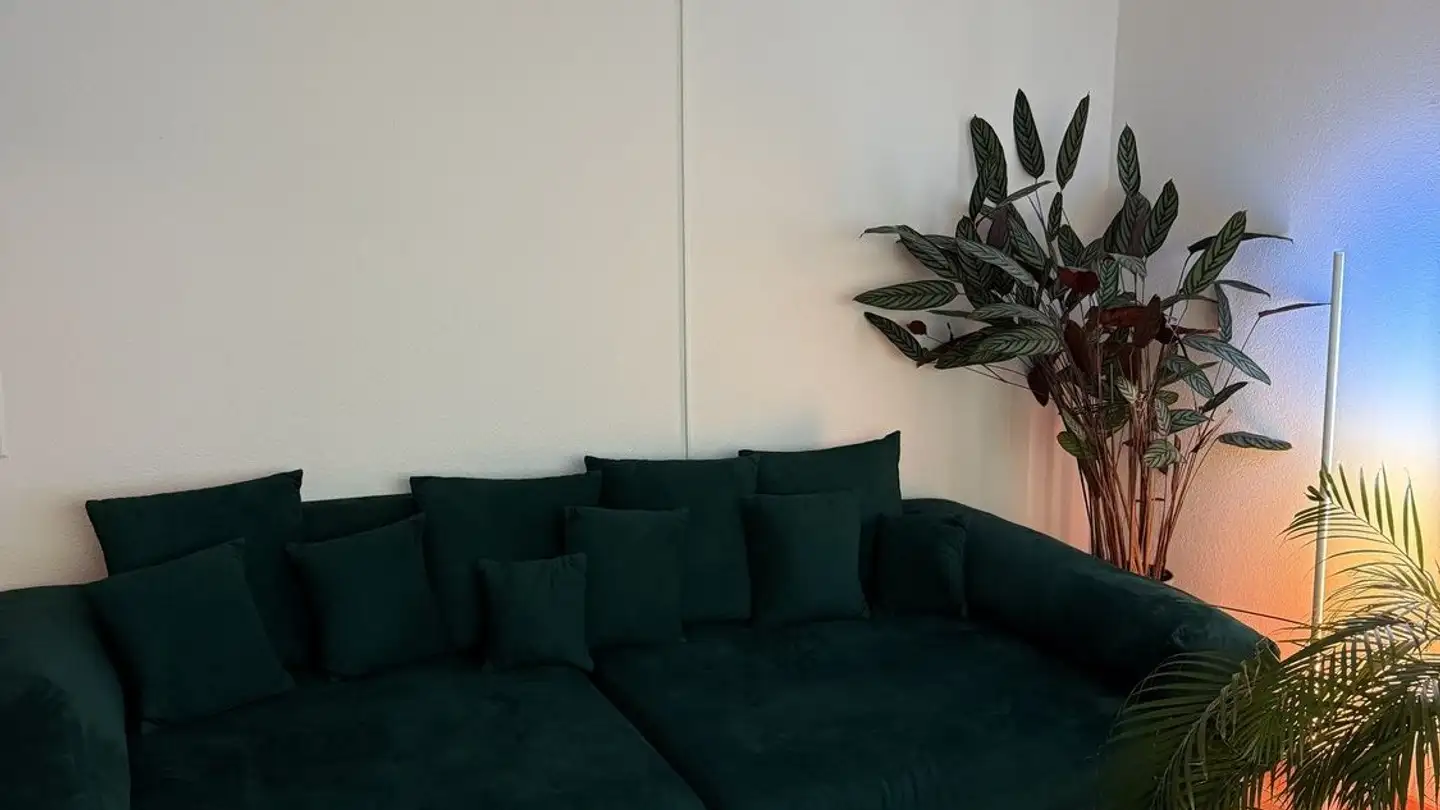 Appartement à louer - Lilienweg 70, 3098 Köniz - Photo 2