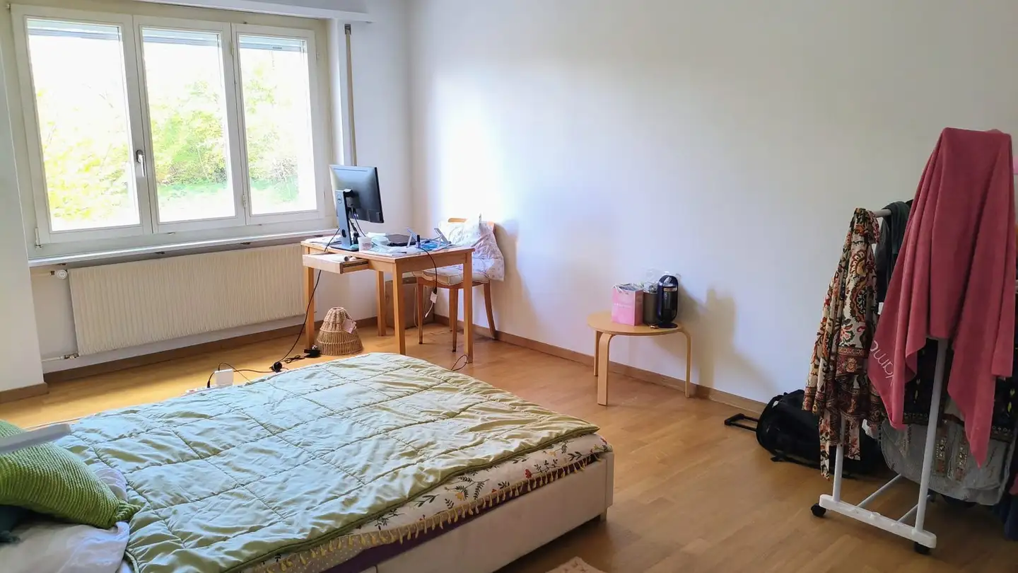 Single room for rent - Hirtenhofstrasse 16, 6005 Luzern
