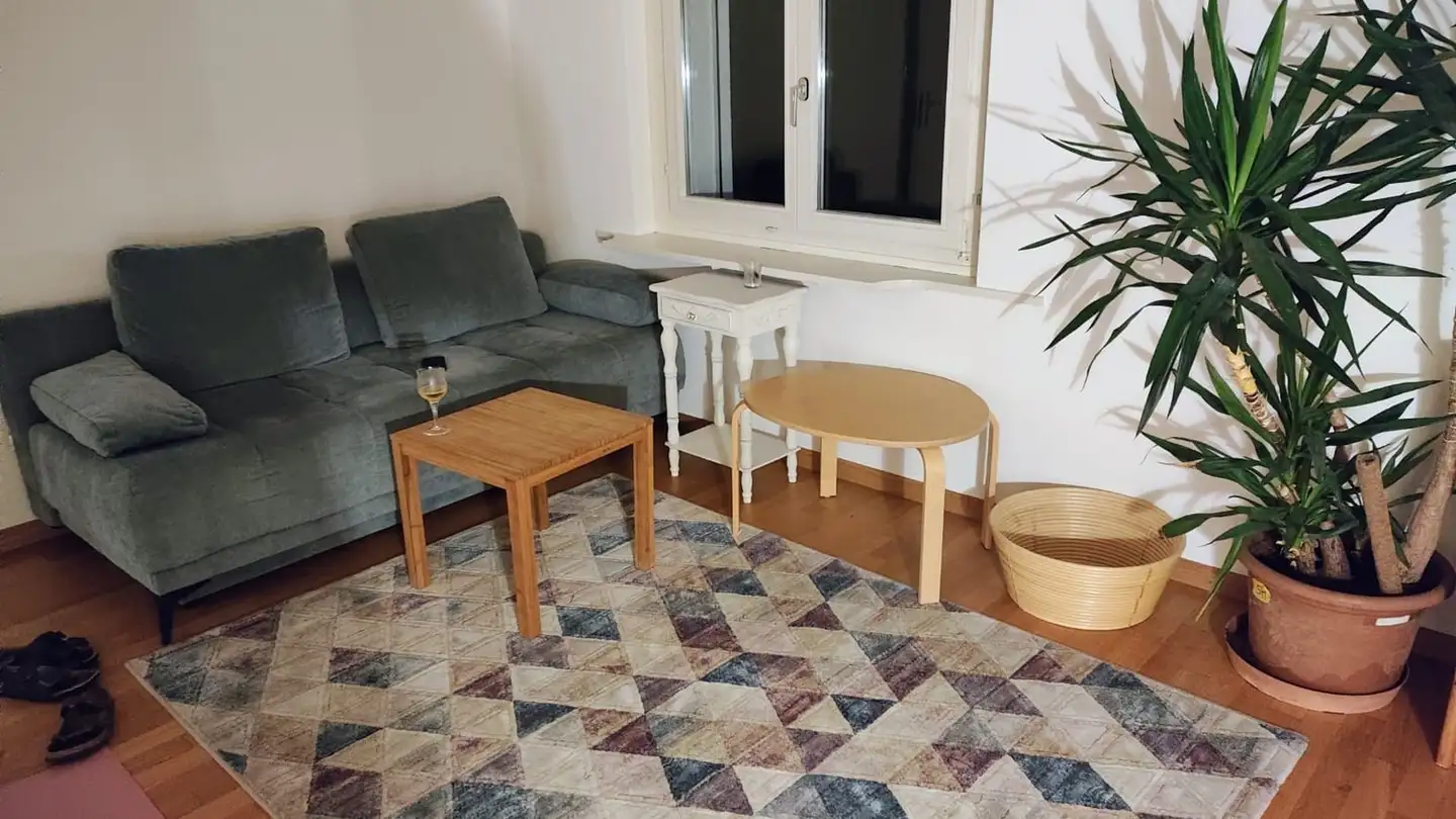 Stanza singola in affitto - Hirtenhofstrasse 16, 6005 Luzern - Photo 3