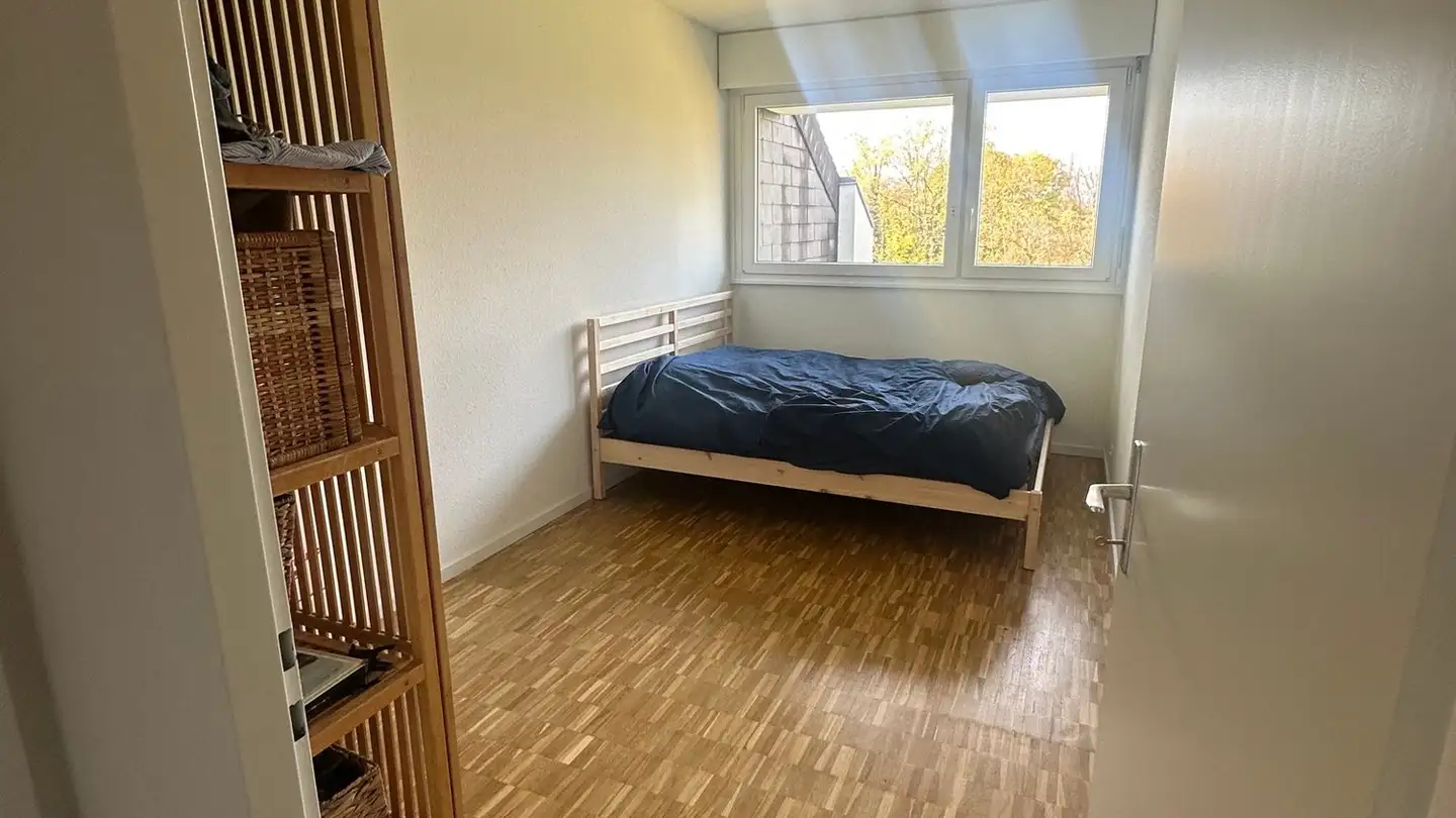 Appartamento in affitto - Rue De Frémis, 1241 Puplinge - Photo 2