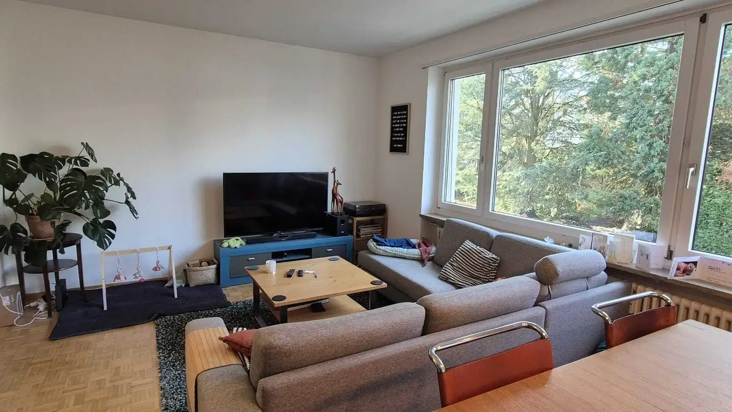 Appartamento ammobiliato in affitto - 4059 Basel