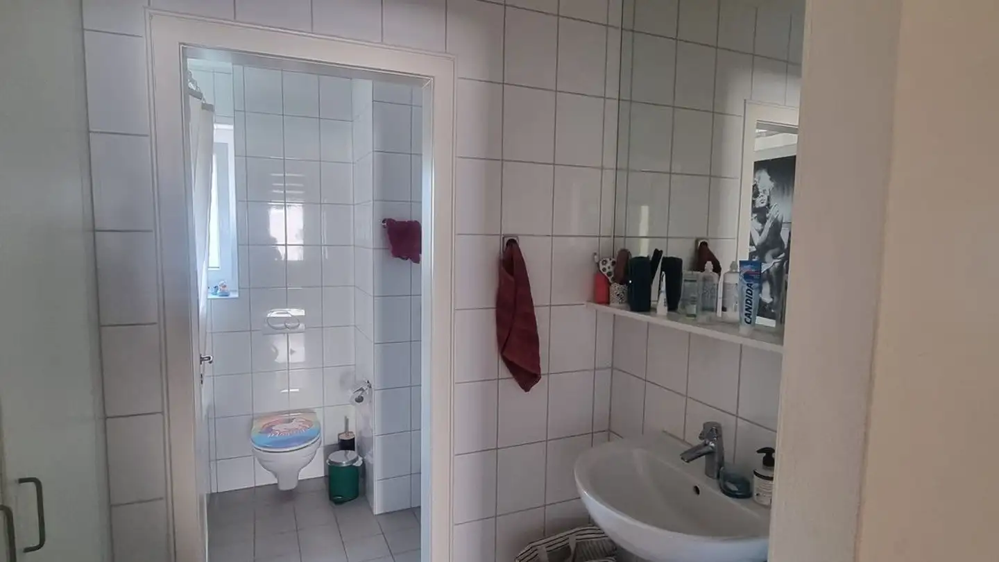 Single room for rent - Zürcherstrasse 80a, 8640 Rapperswil SG - Photo 4