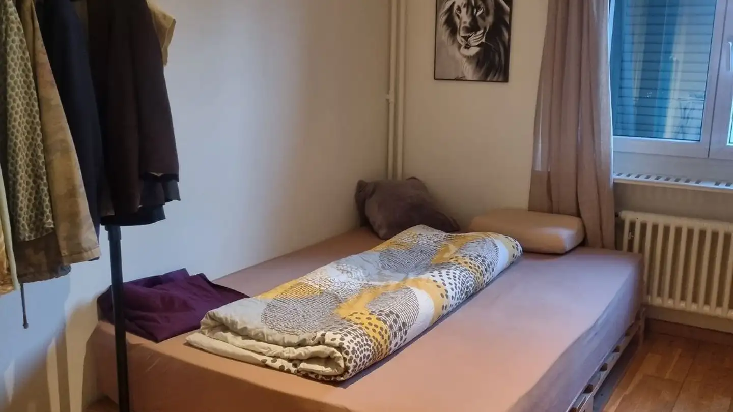 Single room for rent - Zürcherstrasse 80a, 8640 Rapperswil SG