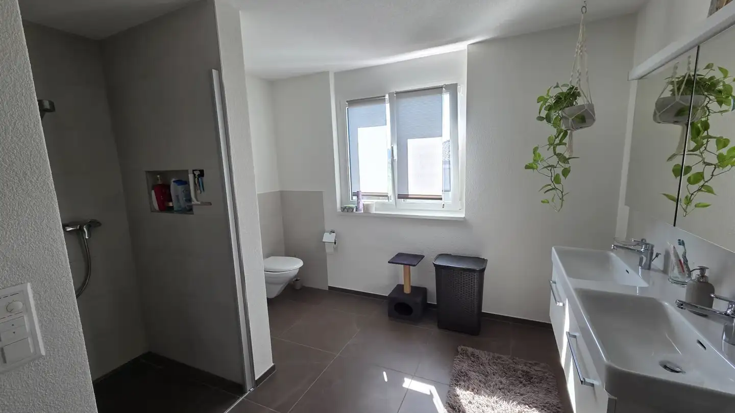 Wohnung mieten - 4536 Attiswil - Foto 3
