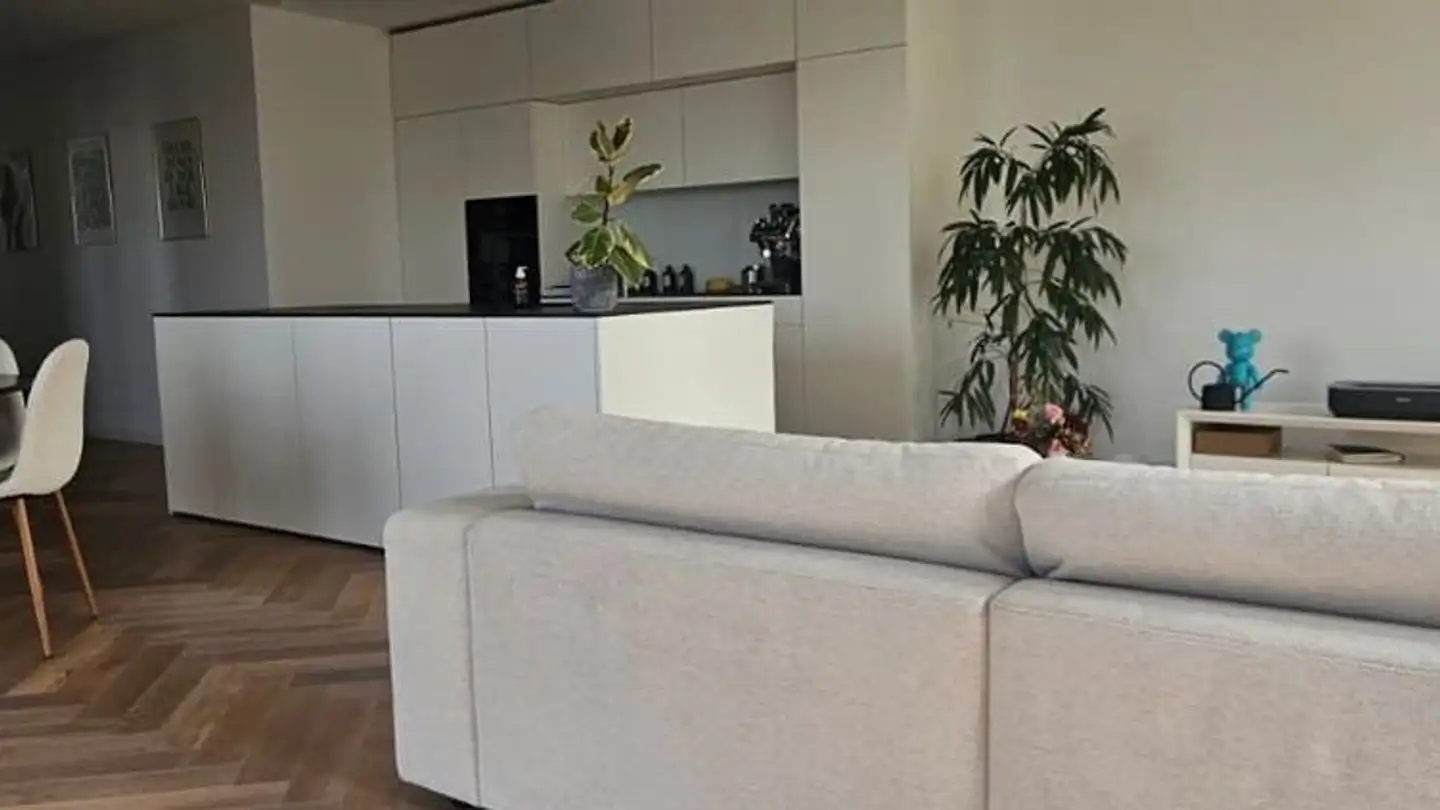 Appartamento in affitto - Bankstrasse 11, 8610 Uster - Foto 4