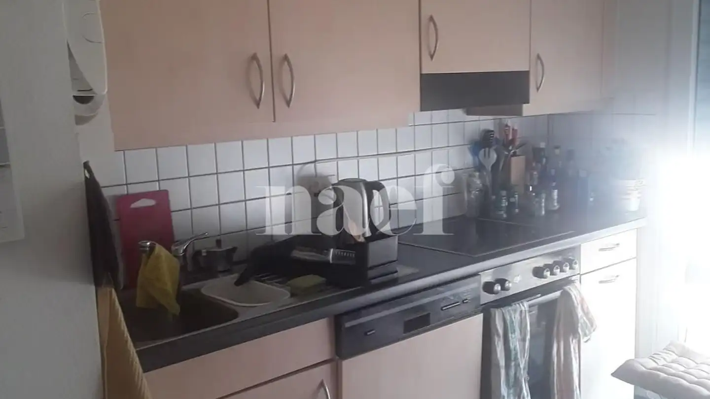 Appartement à louer - Chemin Ami- Argand 7, 1290 Versoix - Photo 2