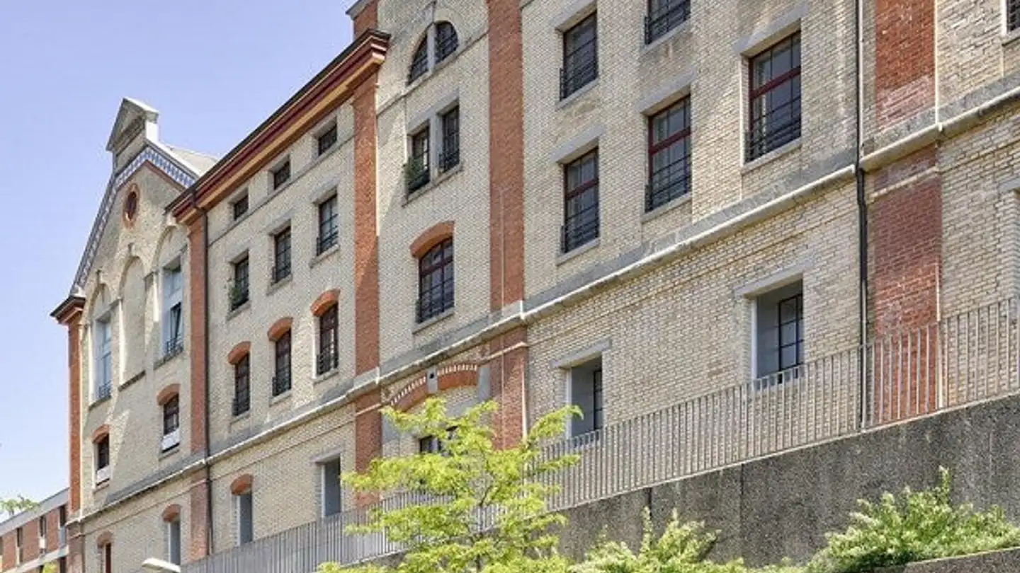 Loft à louer - Rychenbergstrasse 67, 8400 Winterthur - Photo 3