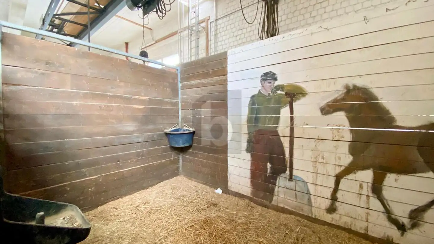 Commerciale in vendita - 7166 Trun - Photo 4