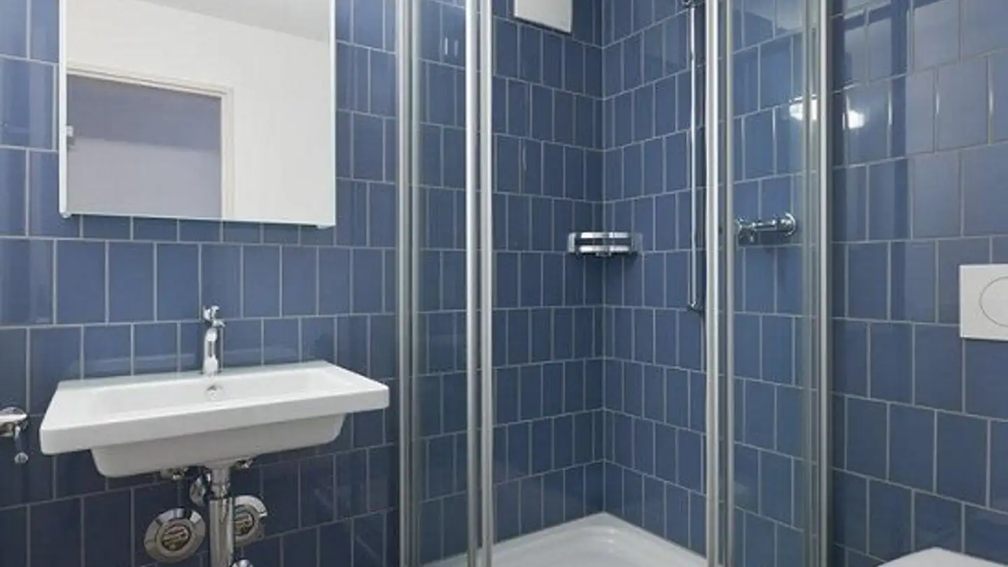 Appartement à louer - Haini-Rennhas-Strasse 15, 9403 Goldach - Photo 4