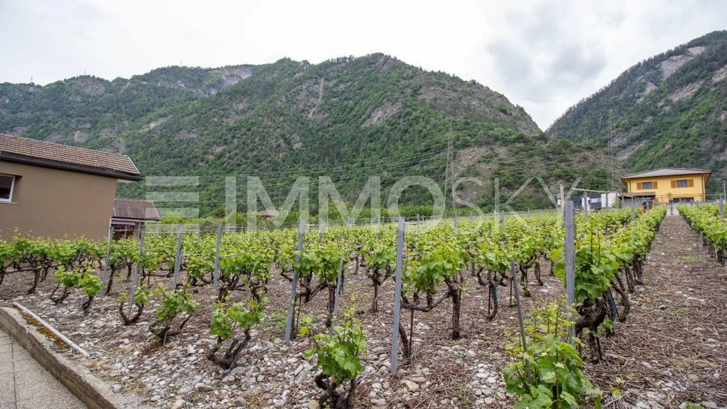 Constructible plot for sale - 1908 Riddes