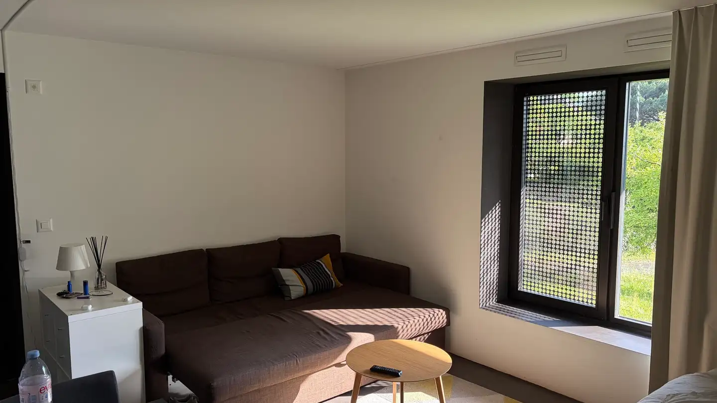 Furnished apartment for rent - 1012 Lausanne - Photo 3