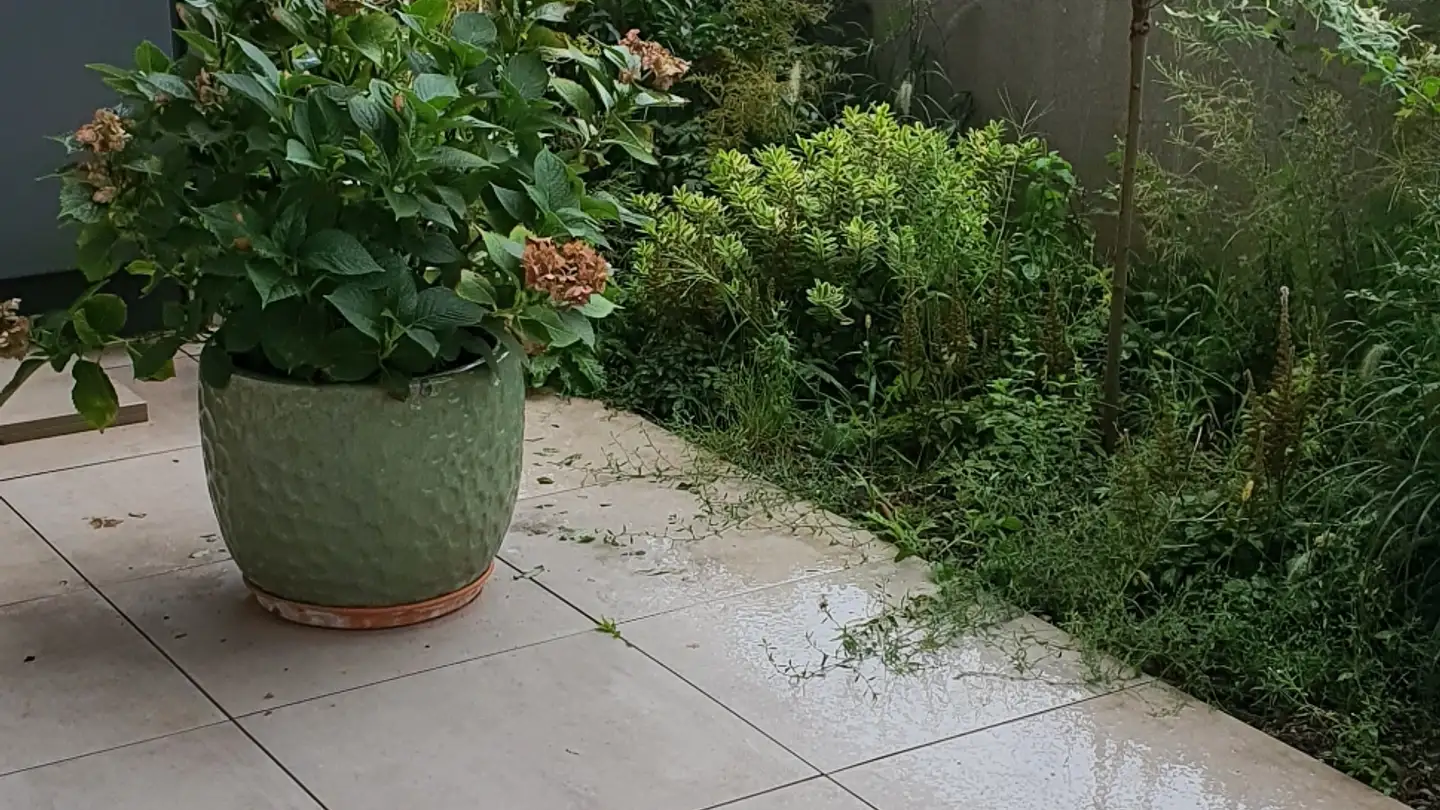 Appartamento in vendita - Impasse Du Tilleul 8, 1510 Moudon - Photo 2