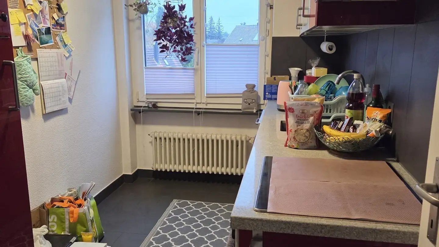 Apartment for rent - Grundstrasse 25, 8600 Dübendorf