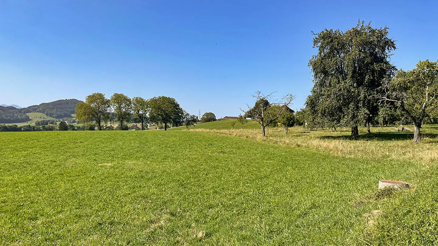 Appartamento in vendita - 1072 Forel (Lavaux) - Foto 4