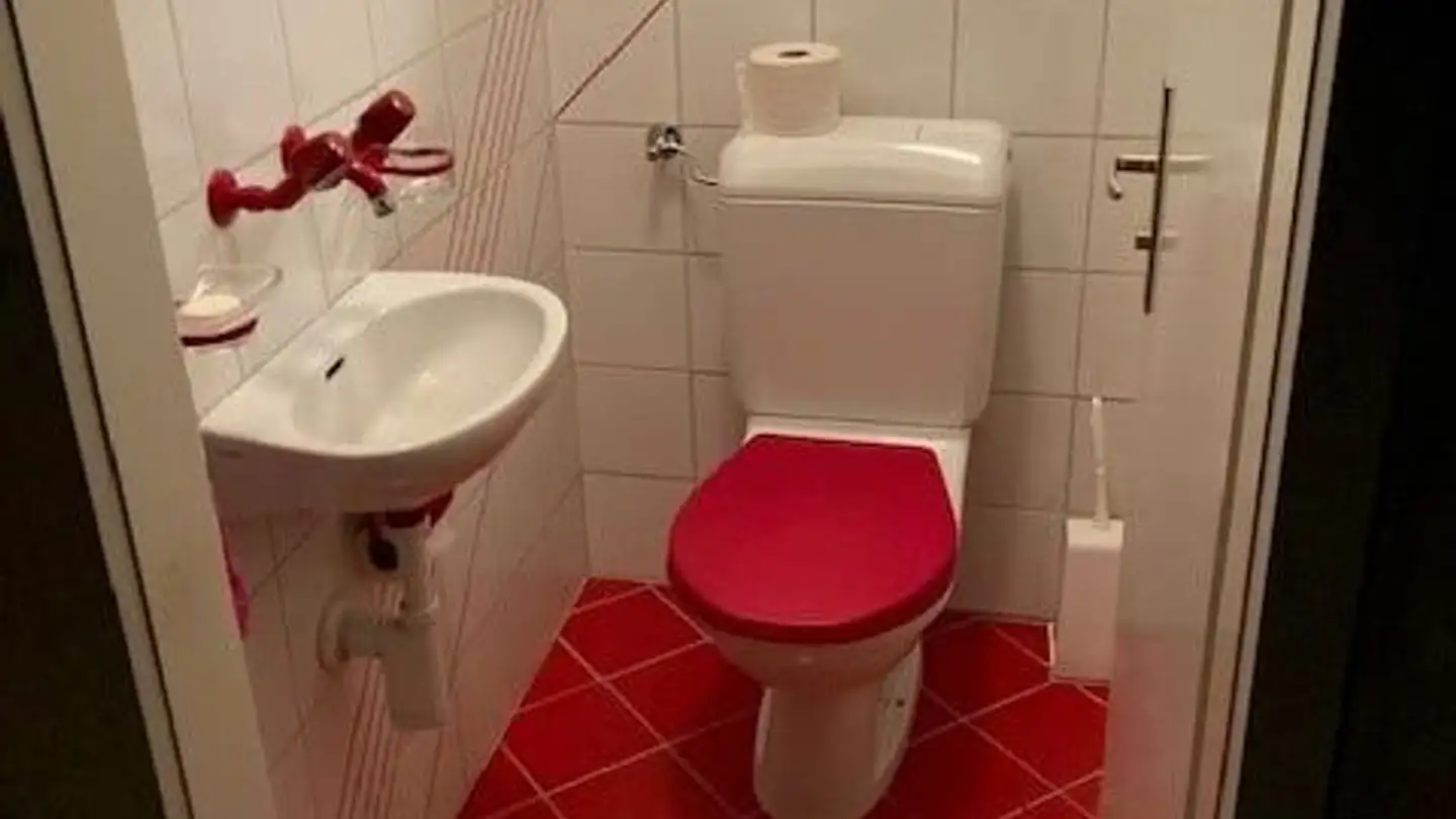 Workshop for rent - Weihermattstrasse 61, 8902 Urdorf - Photo 4