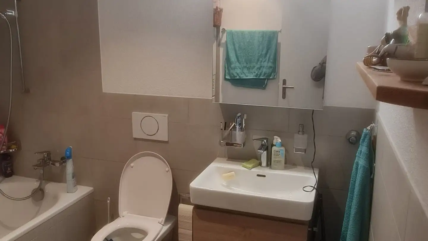 Penthouse kaufen - Hauptstrasse 48, 2554 Meinisberg - Foto 4