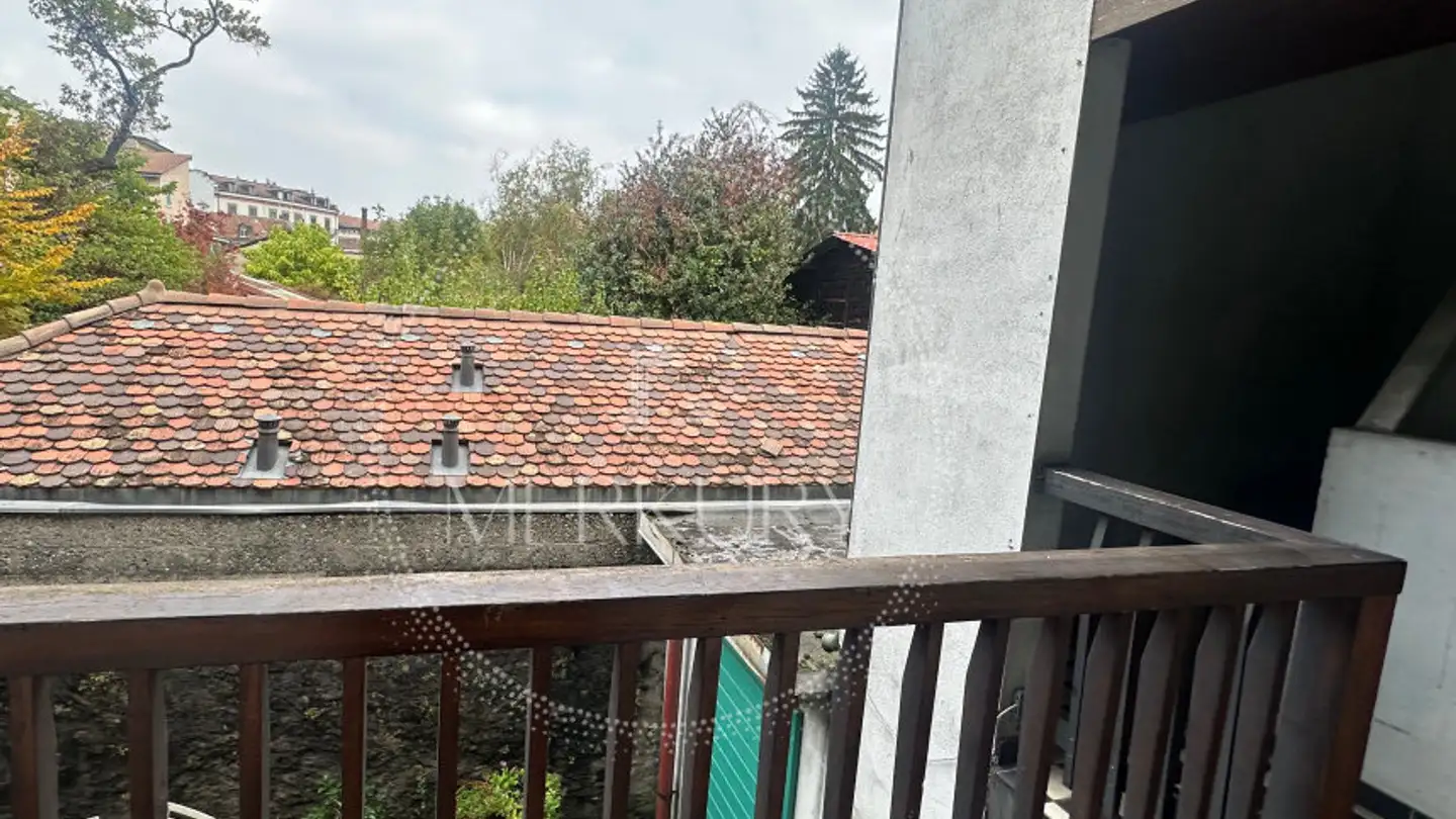 Wohnung mieten - 1227 Carouge GE