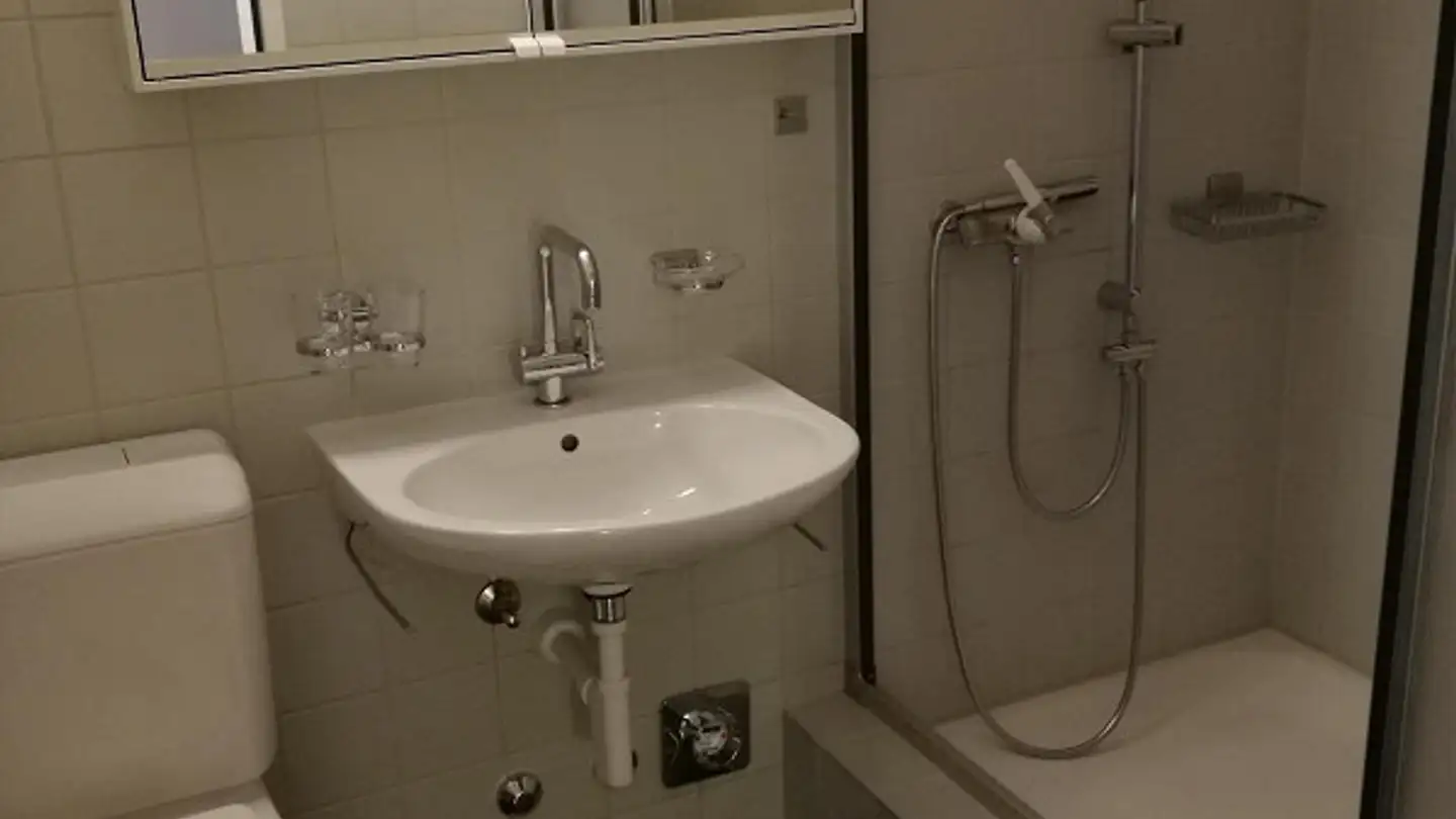 Appartamento in affitto - Roggenweg 20, 8405 Winterthur - Foto 4