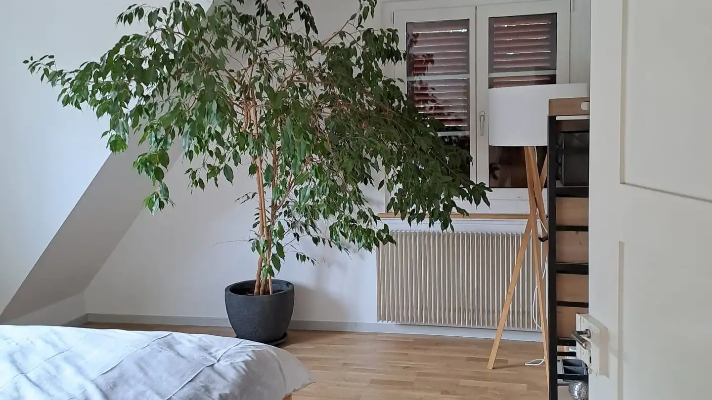 Dachgeschosswohnung mieten - Schmiedenstrasse 13, 3550 Langnau im Emmental - Foto 2