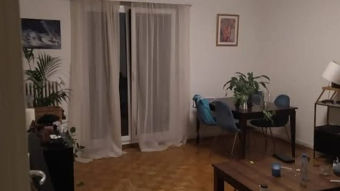 Appartamento in affitto - Avenue Victor-Ruffy, 1012 Lausanne - Foto 3