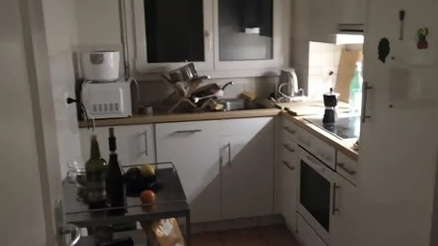 Appartamento in affitto - Avenue Victor-Ruffy, 1012 Lausanne - Foto 4