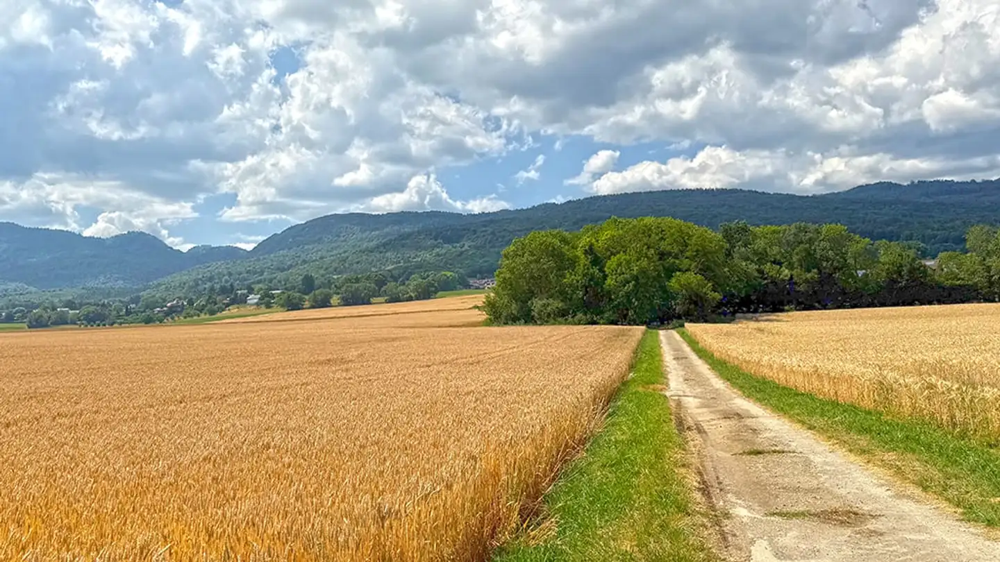 Villa in vendita - 1271 Givrins - Foto 3