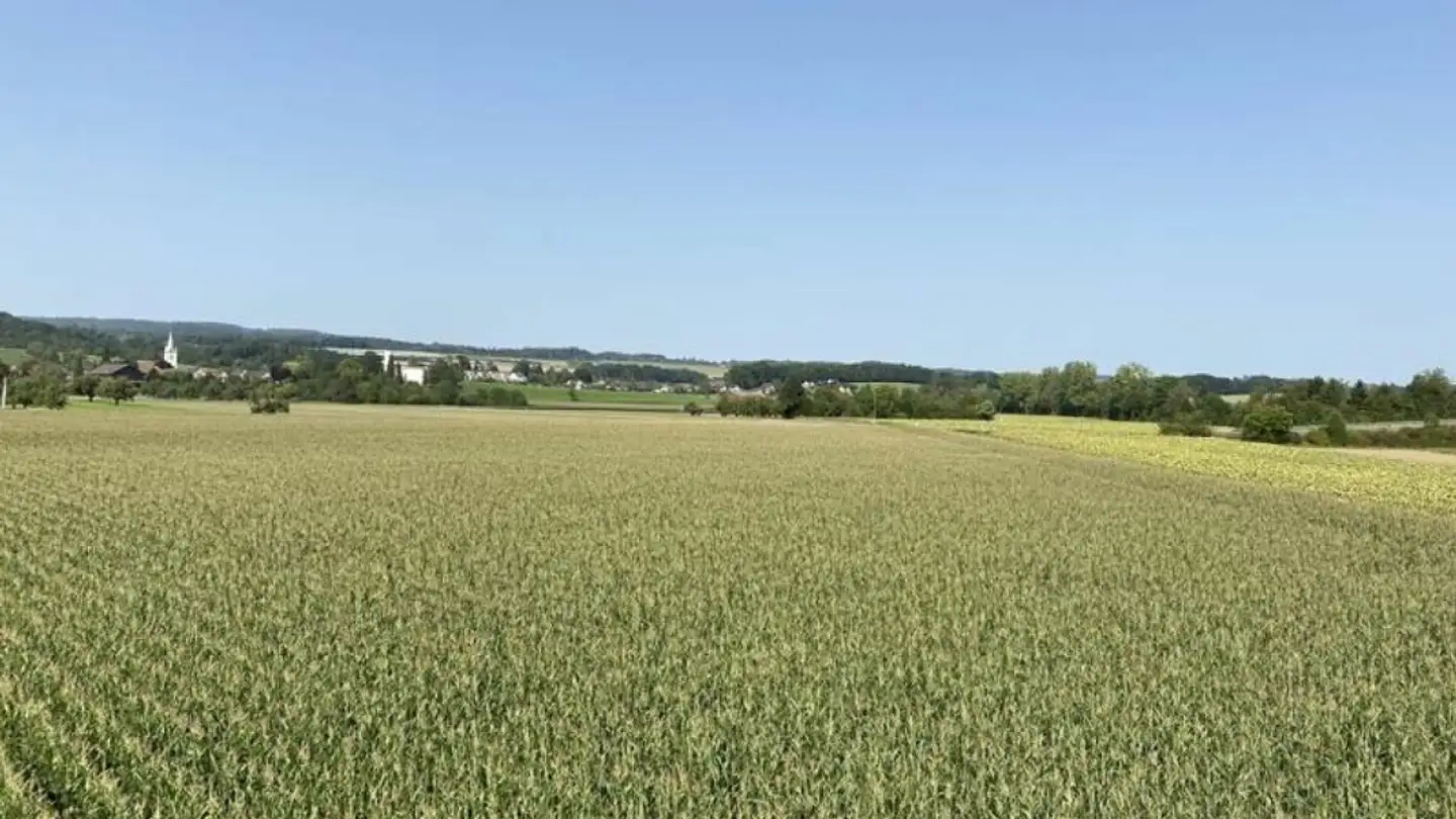 Casa singola in vendita - Haslistrasse, 8554 Müllheim-Wigoltingen - Photo 2