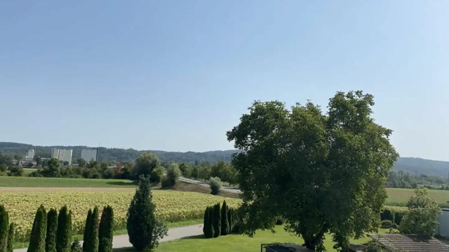 Casa singola in vendita - Haslistrasse, 8554 Müllheim-Wigoltingen - Photo 3