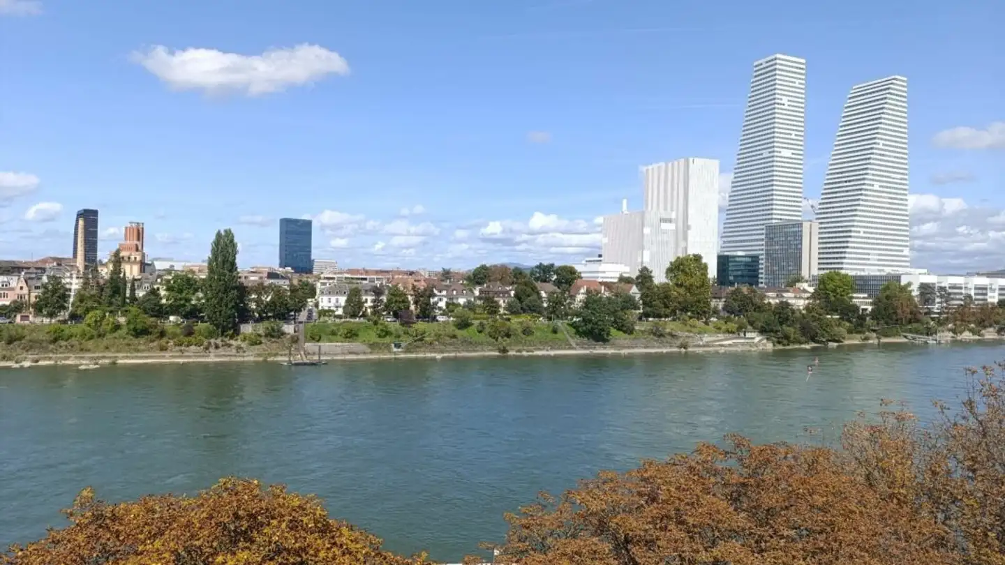 Furnished apartment for rent - St. Alban-Rheinweg 74, 4052 Basel - Photo 4