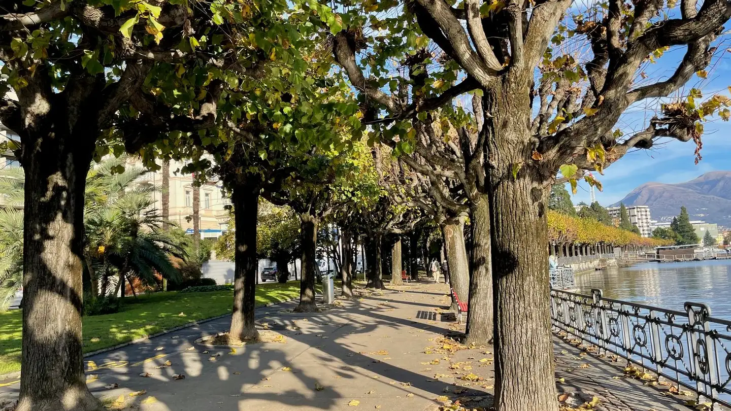 Appartement à vendre - Via Domenico Fontana 4, 6900 Lugano