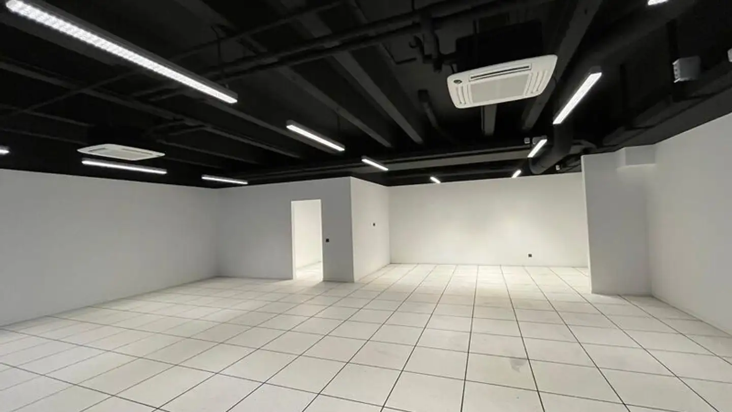 Mixed-use building for rent - Via Del Carmagnola 12, 6517 Arbedo - Photo 2