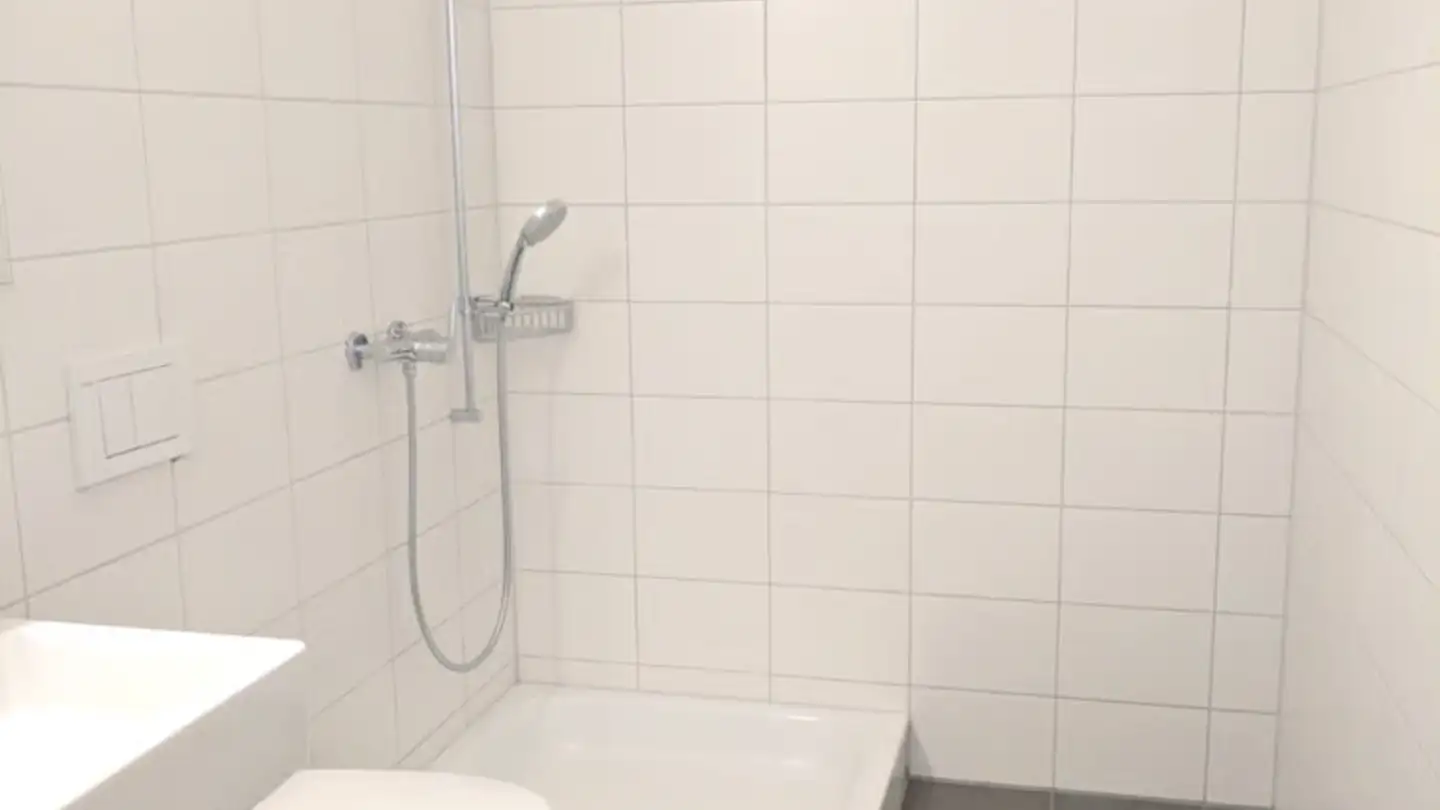 Appartement à louer - Else-Züblin-Strasse 97, 8404 Winterthur - Photo 3