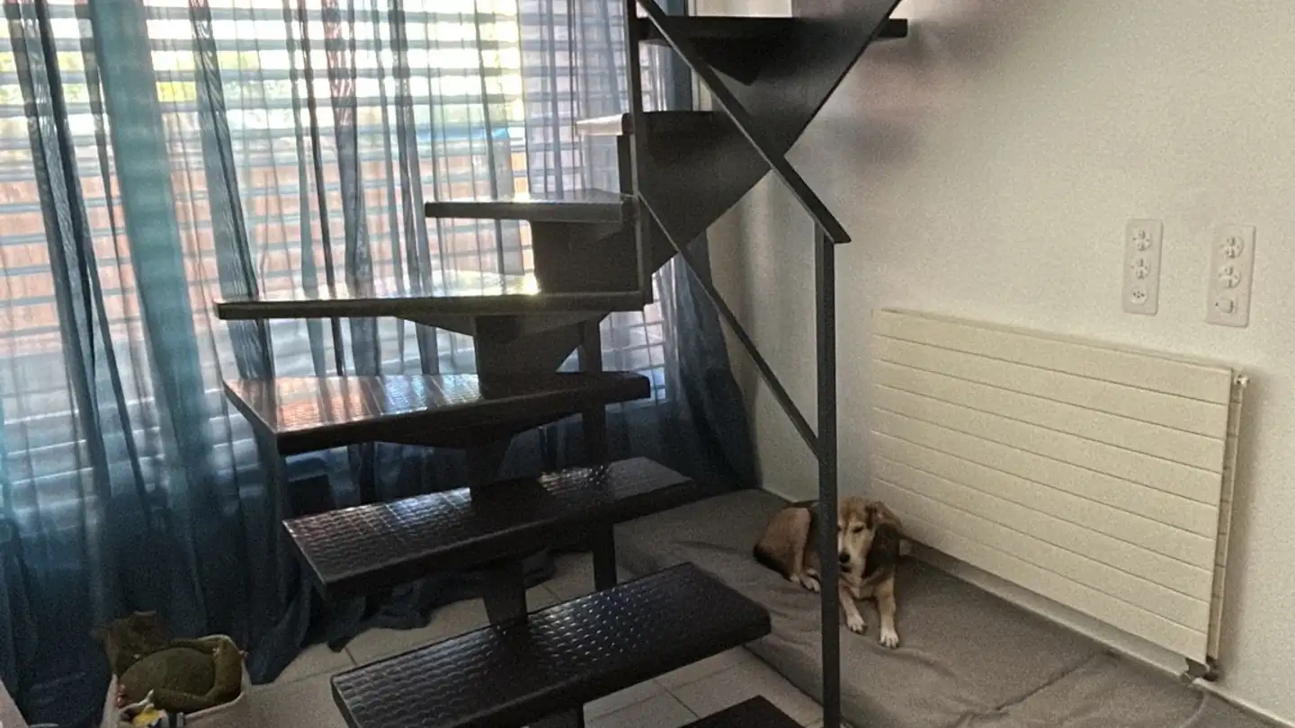 Wohnung mieten - Via Alfredo Pioda, 6600 Solduno - Foto 4