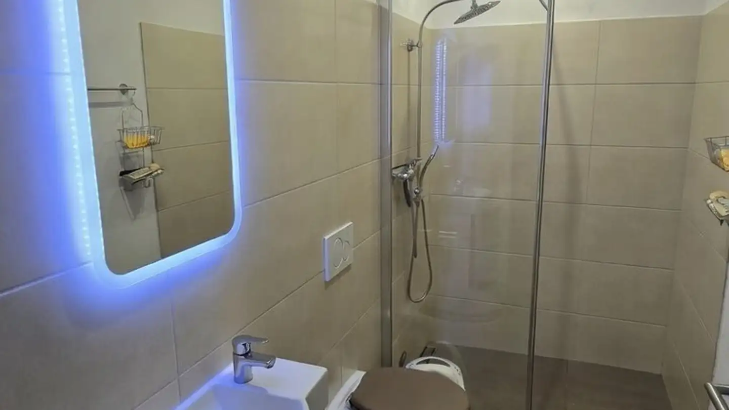 Appartement à louer - Walzenhauserstrasse 45, 9430 St. Margrethen SG - Photo 3