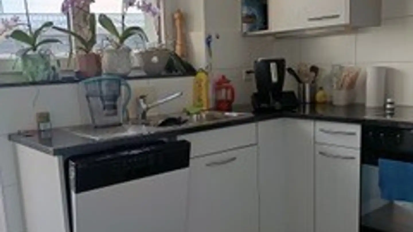 Wohnung mieten - Ifangstrasse, 8153 Rümlang - Foto 4