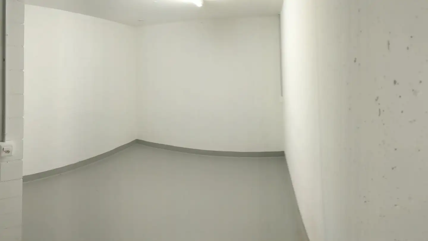 Commercial for rent - 8912 Obfelden