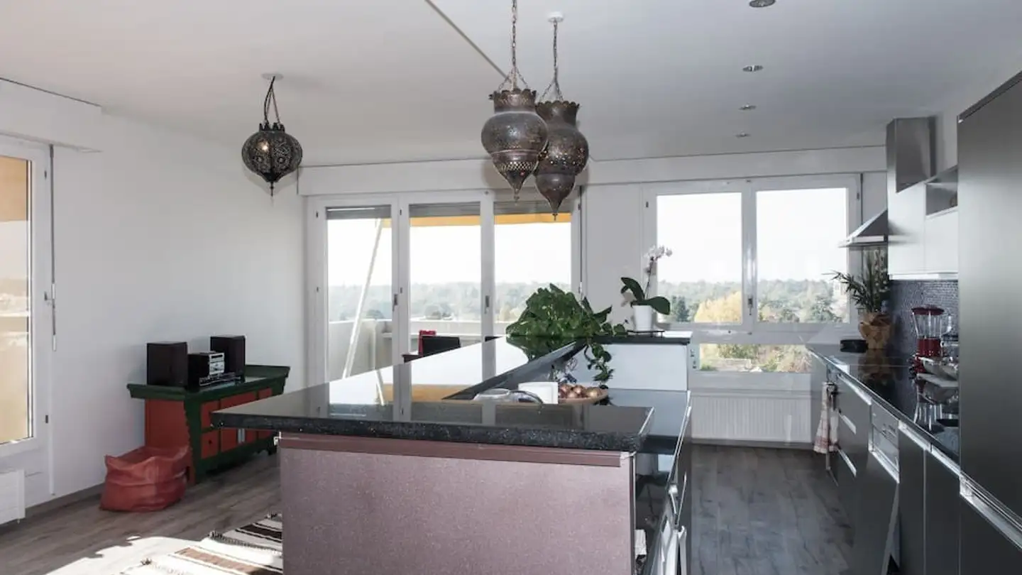 Single room for rent - Avenue Adrien- Jeandin 18, 1226 Thônex - Photo 3